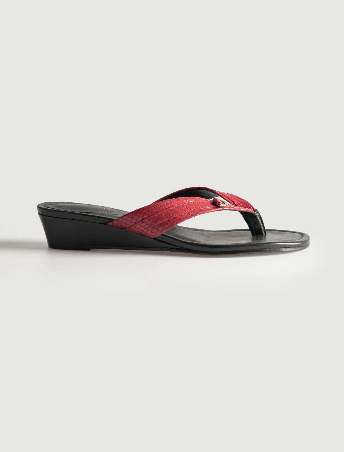 no 2543 / Felipa